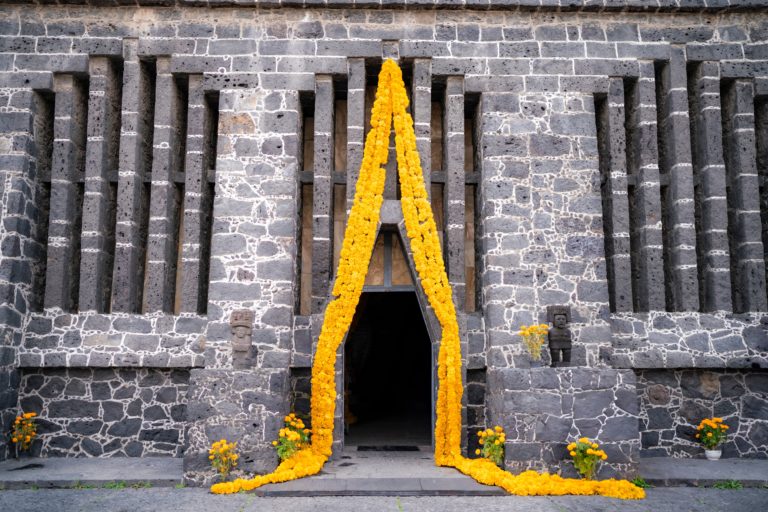 Mexico,City,,Mexico,-,November,3,,2024:,Yellow,Marigold,Flowers