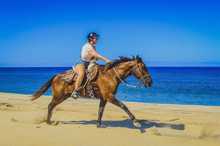 Cabalgatas-de-playa-baja-california