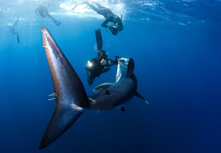 Cabo-San-Lucas-La-Paz