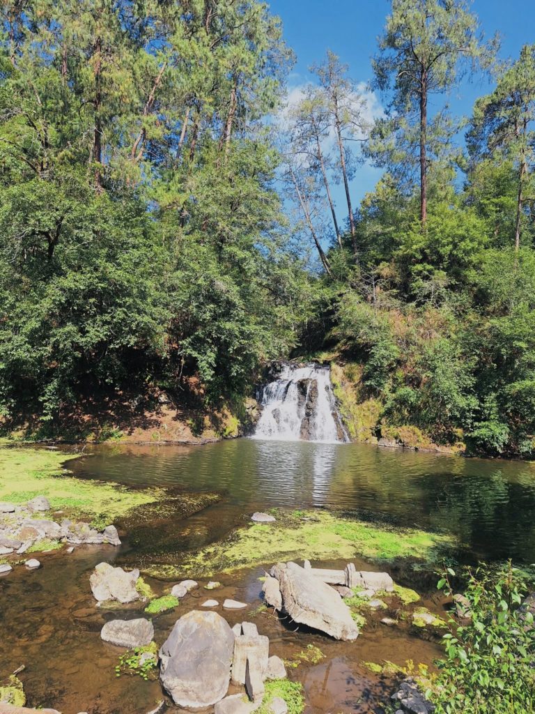 Campestre-Las-Truchas-huauchinango