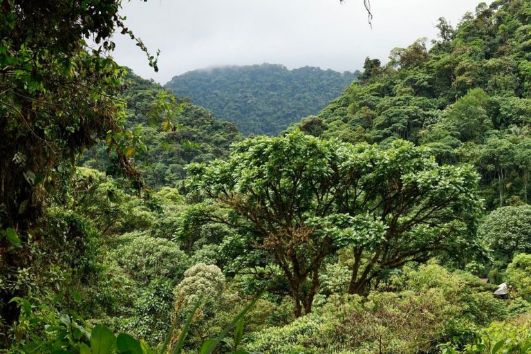 Cañón-de-Santa-Elena-mex