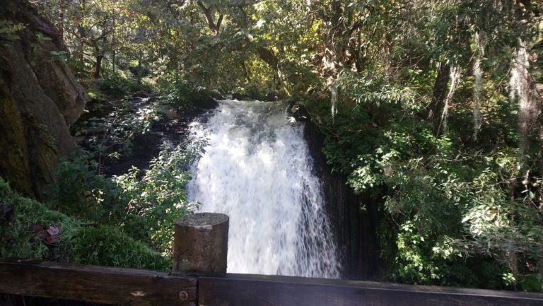 Centro-Recreativo-Tulimán-pue