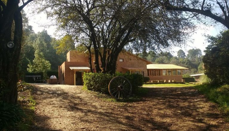 Escapadas de bienestar: retiros espirituales en Valle de Bravo