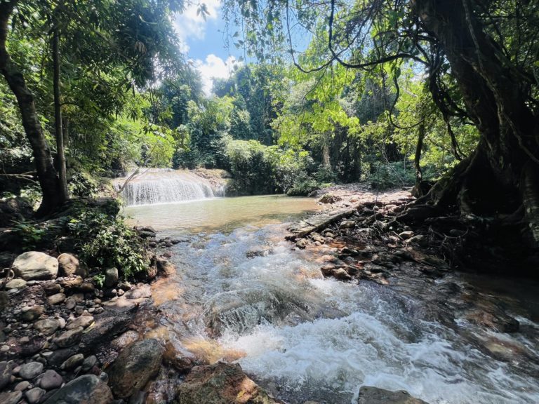 Coahuayana-michoacan-méxico-turismo