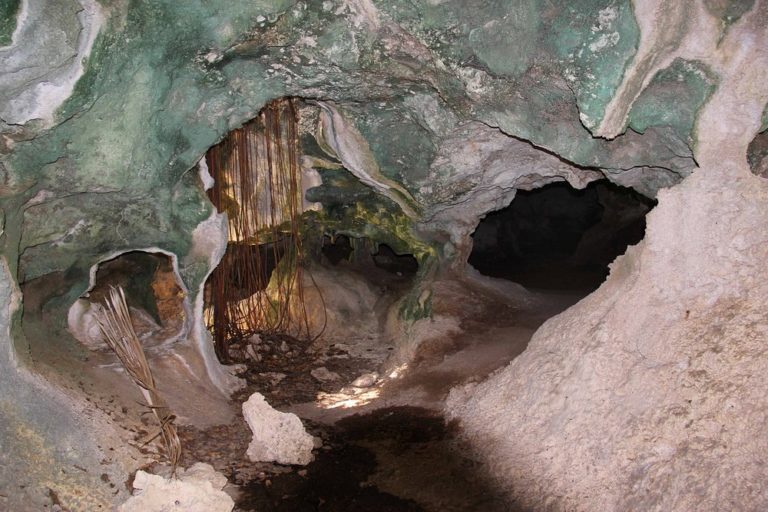 Cueva-del-Murciélago-mexico-turismo