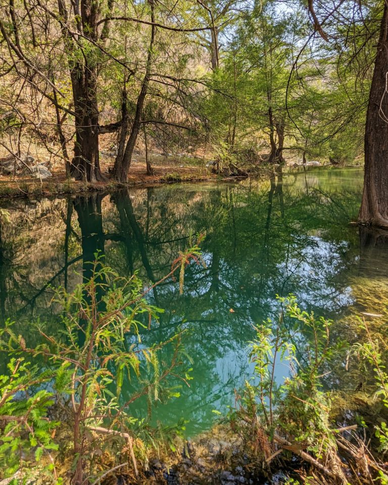 El-Aguacate-camping-en-pue