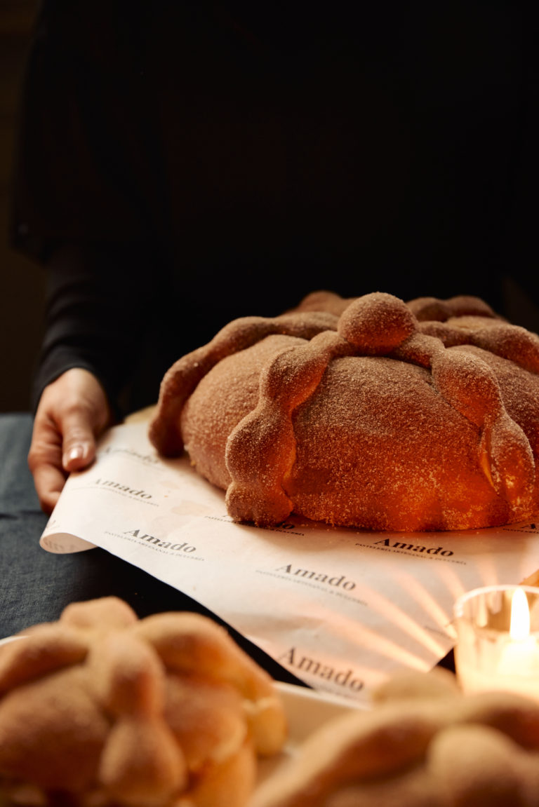 JPARK25_HYATT_AGOSTO_DIADEMUERTOS 16