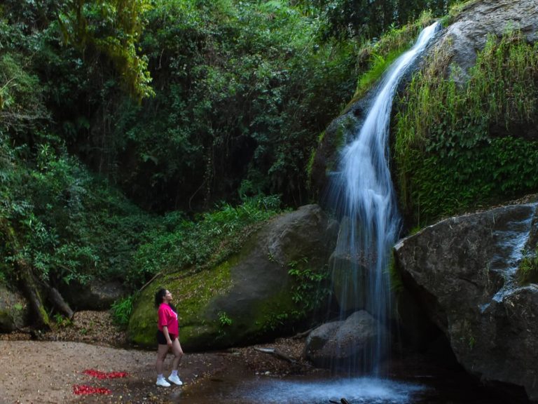 Mandala-Camp-Glamping-turismo