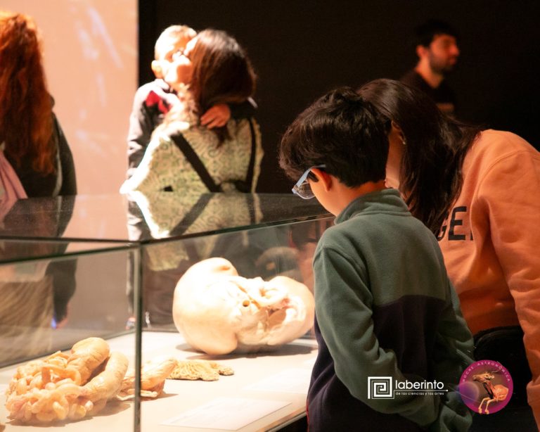 Museo-Laberinto-Ciencias-y-Artes