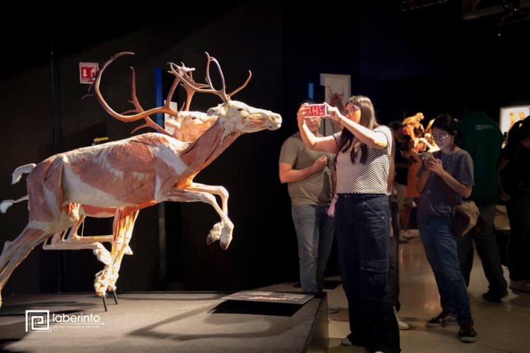 Museo-Laberinto-de-Ciencias