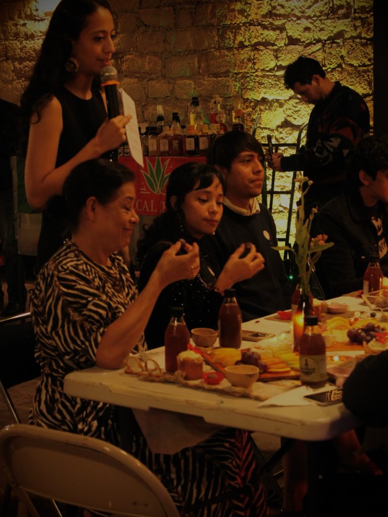 Museo-Leonora-Carrington-méx