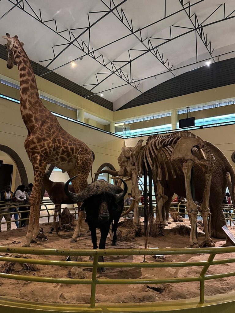 Museo-Nacional-de-Nairobi-áfrica