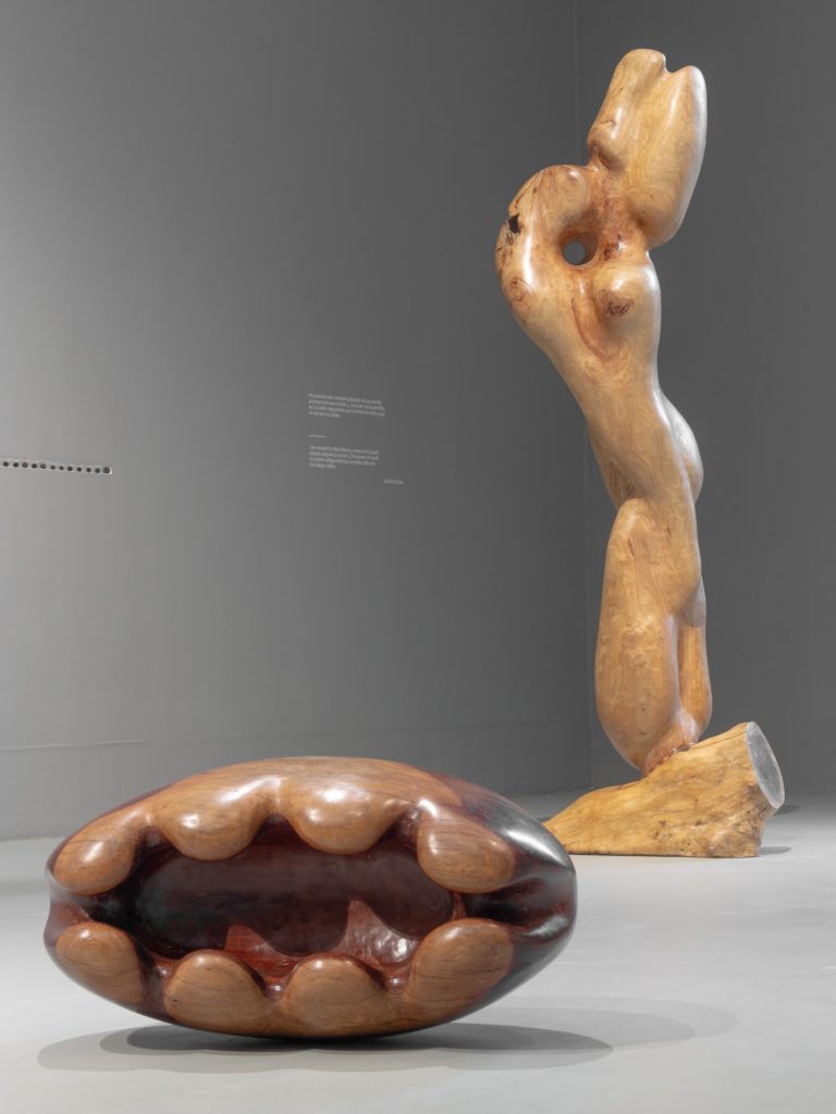 Museo-de-Arte-Contemporáneo-mx