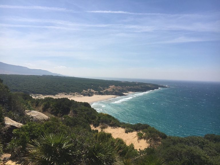 Playa-Arroyo-mexico-oaxaca-turismo