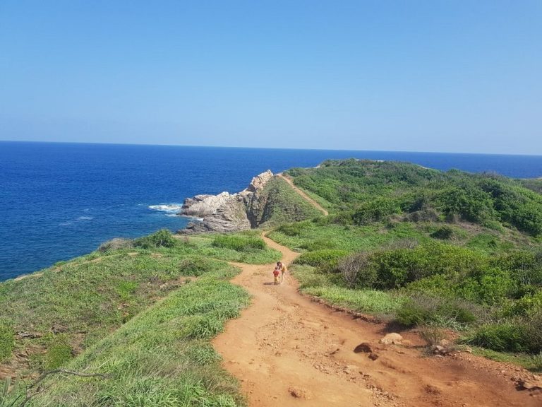 Playa-de-oaxaca-punta-cometa