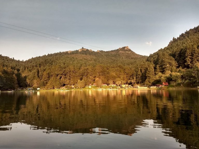 Presa-Cedral-mineral-chico