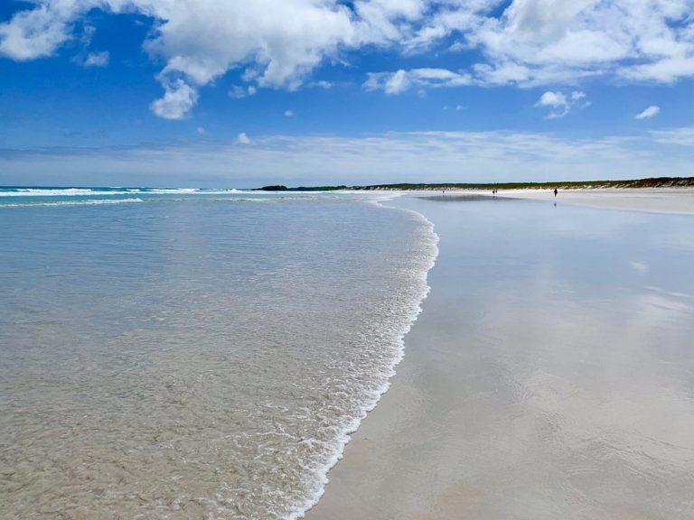 Puerto-Ayora-mex-turismo