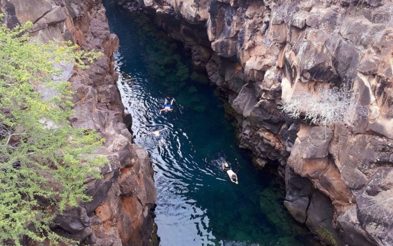 Puerto Ayora: aventura y vida silvestre en Ecuador