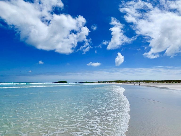 Puerto-Ayora-mx-turismo