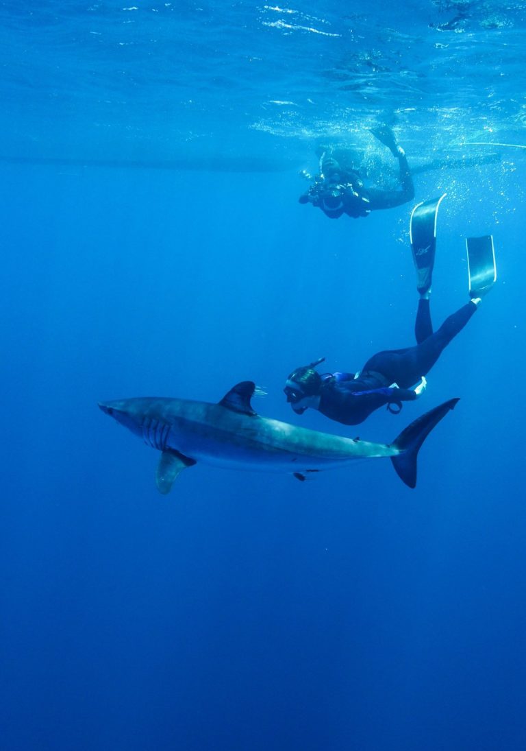 Puerto-vallarta-mexico-turismo-aventuras