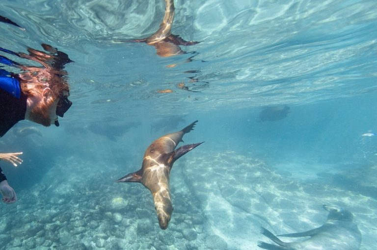 Puerto-vallarta-mx-turismo-aventuras