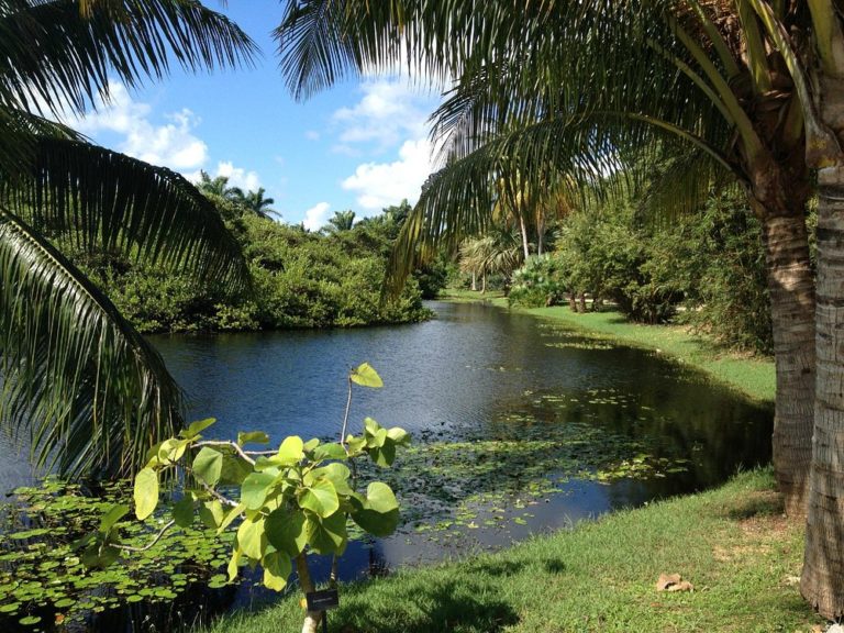 Queen-Elizabeth-II-Botanic-Park