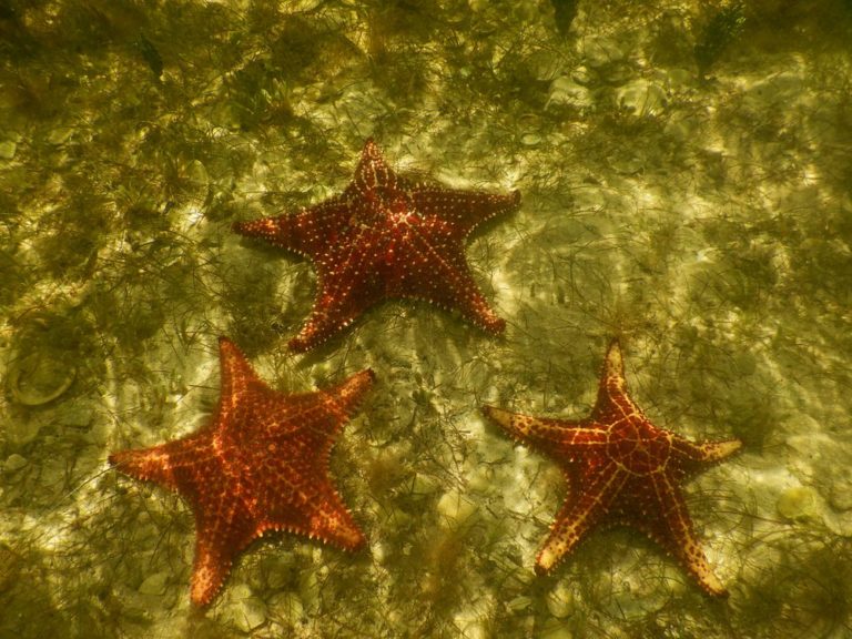 Rum-Point-mexico-turismo-aventura