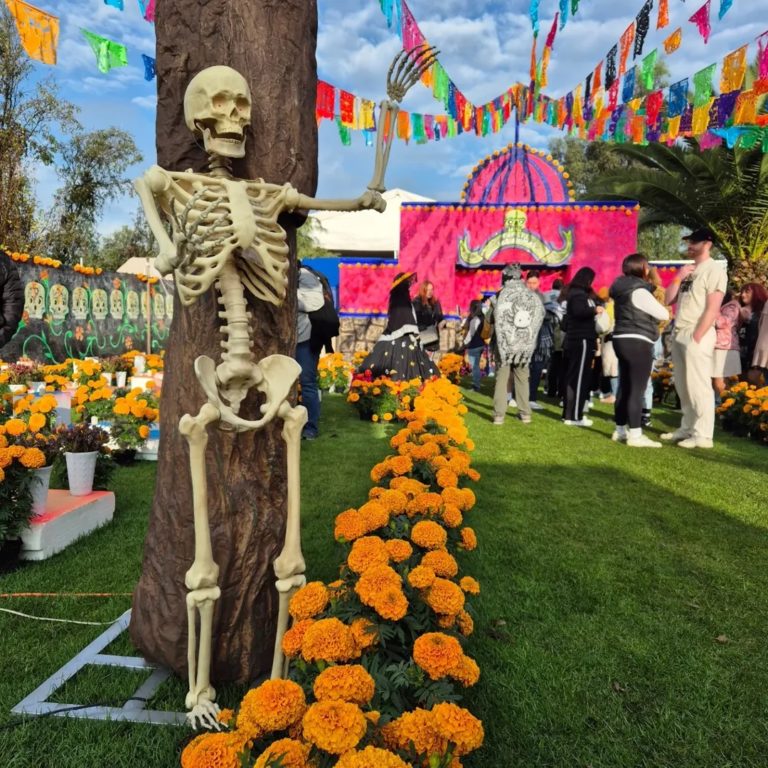 Ruta-cempasuchil-mexico-turismo