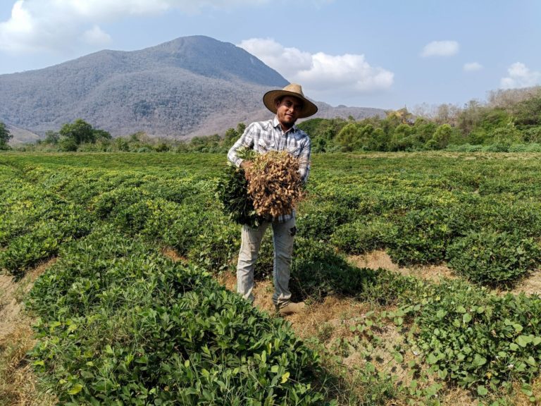 Ruta del Cacahuate Colima_Foto cortesía Corazón de Colima Tours