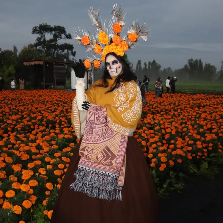 Ruta del Cempasúchil-mich-mx