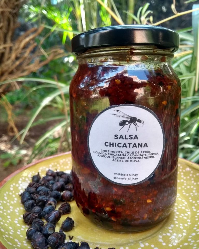 Salsa-de-chicatana-gastronomia-mx