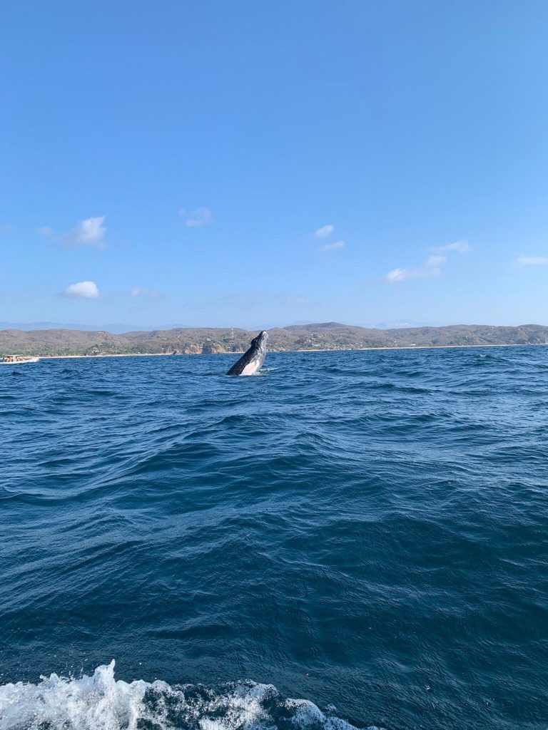 San-Agustinillo-mexico-turismo-aventuras