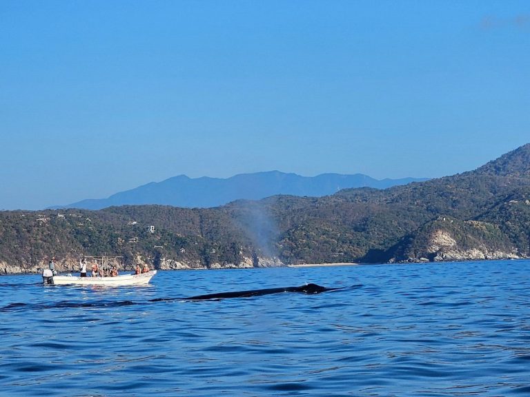 San-Agustinillo-mx-turismo-aventuras