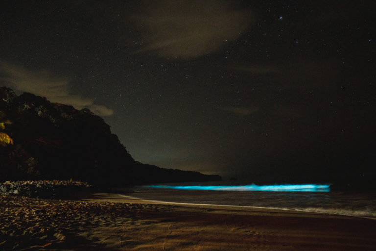 Las playas de Nayarit que brillan de noche