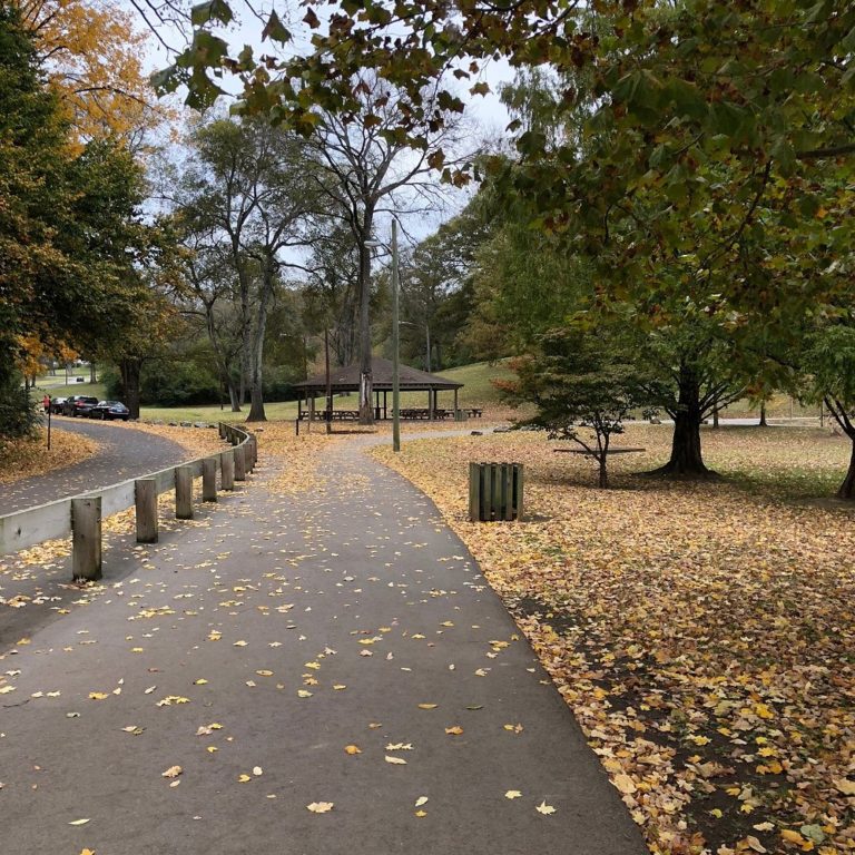 Shelby-Park-usa-turismo