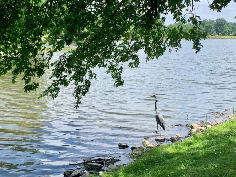 Shelby-Park-usa-turismo-fronterizo