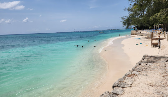 Stingray-City-(Gran-Caimán)