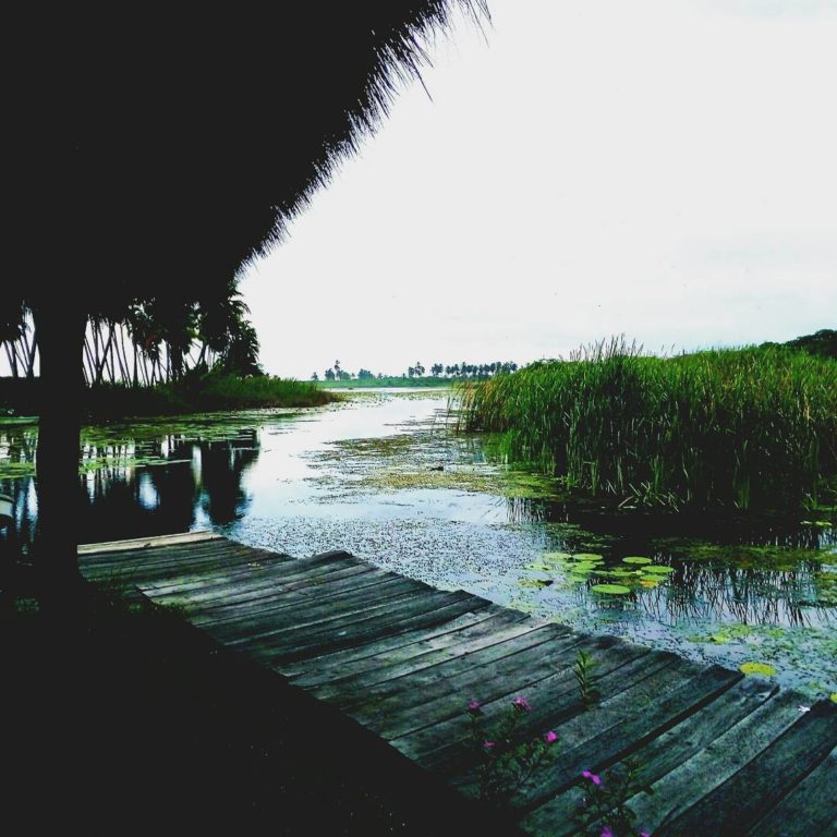 el-ticuiz-michoacan-mx-turismo