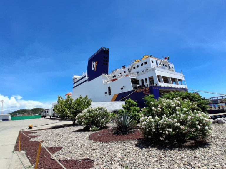 ¡Adiós avión! Vive el Mar de Cortés en el ferry más cool