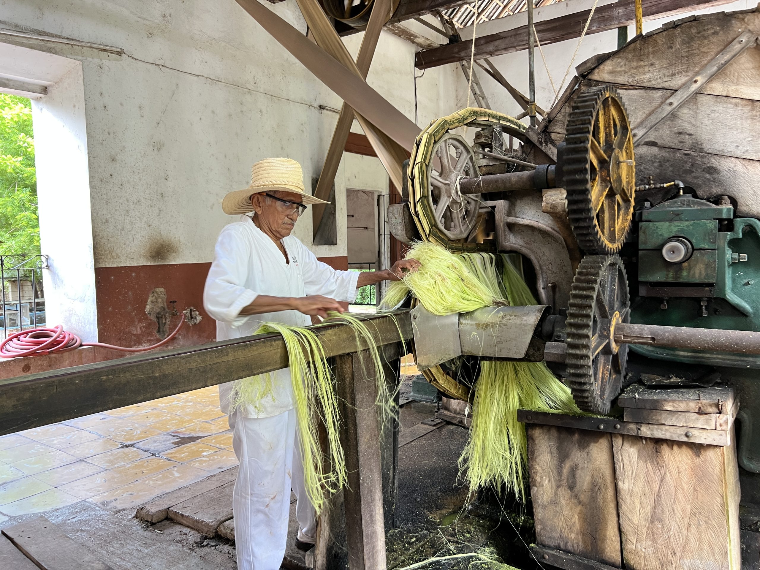 henequen yucatán más allá de Mérida letreros