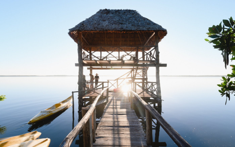 Isla Arena: recorre playas, manglares y vive aventuras únicas