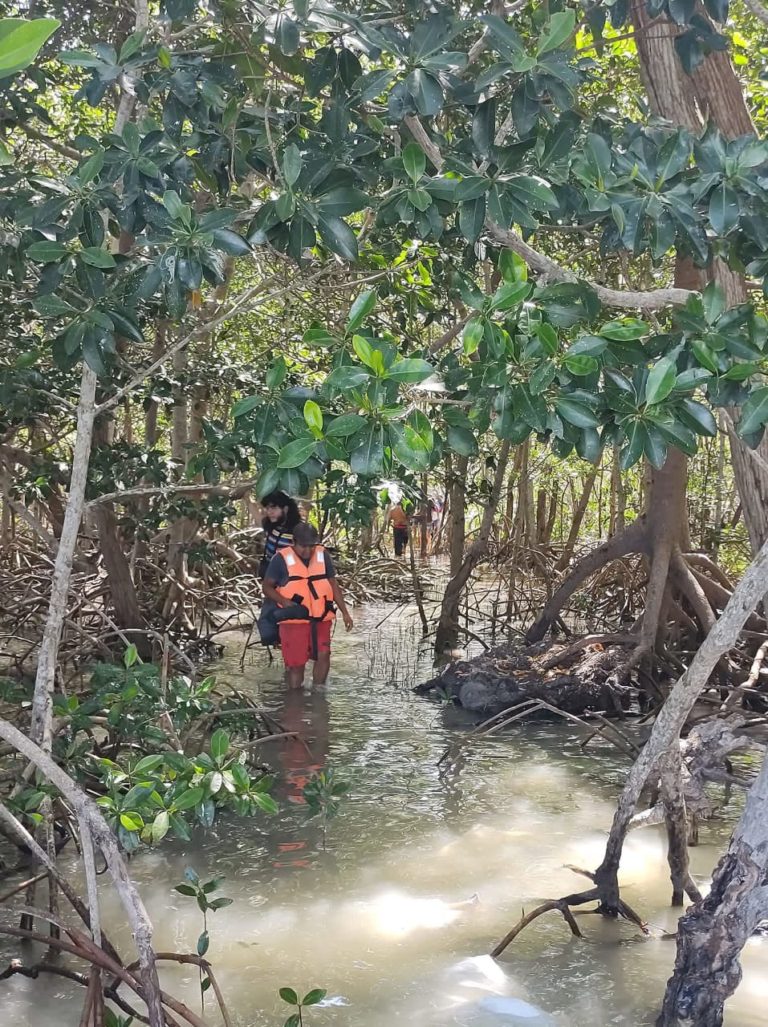 isla-arena-mexico-turismo-aventuras