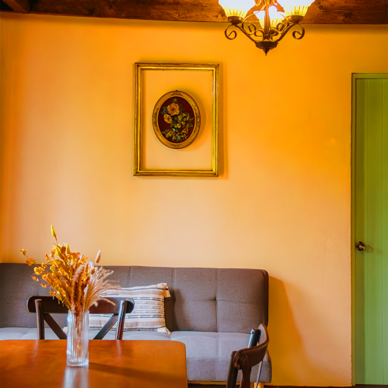 la-magia-del-bosque-mex