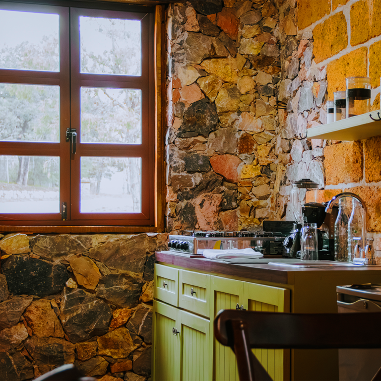 la-magia-del-bosque-mexico