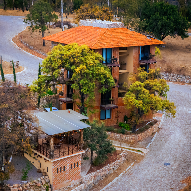 la-magia-del-bosque-mx