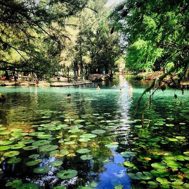 la-media-luna-playas-mx