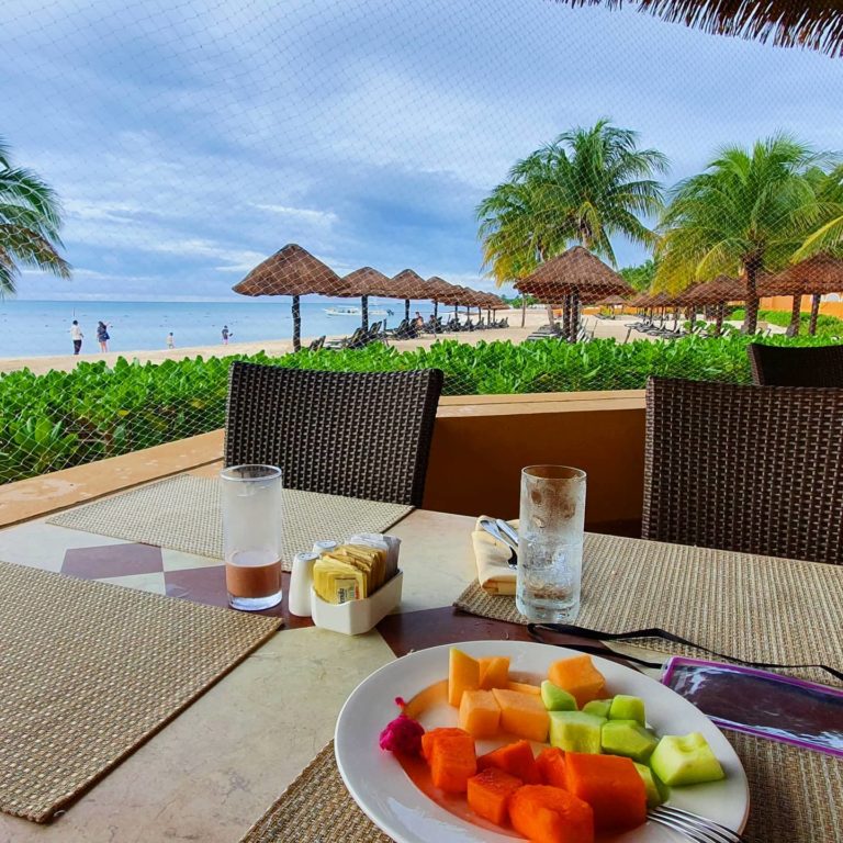 la-palapa-del-sol-mexico-gastronomia