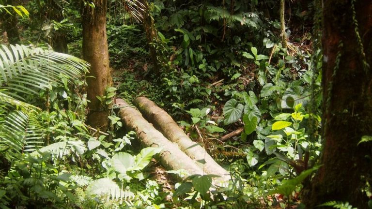 mexico-turismo-rio-bravo-aventura