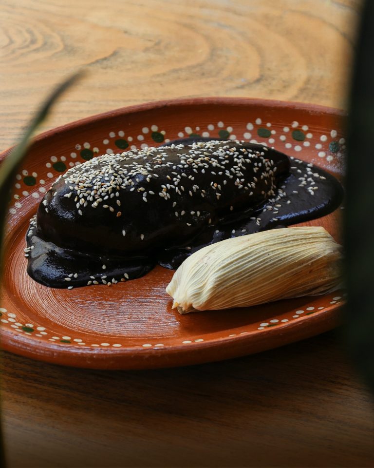 mole-negro-mx-turismo