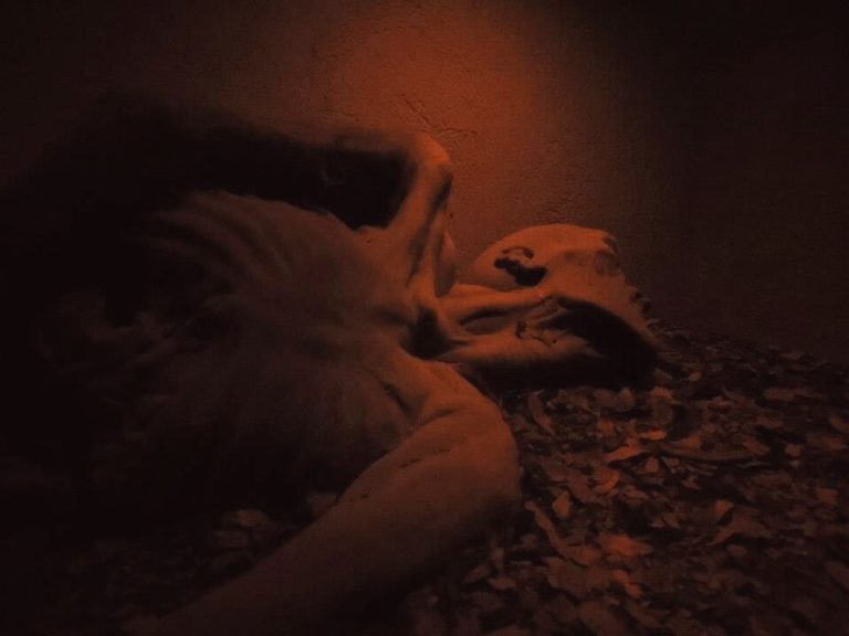 museo-los-lamentos-guanajuato-méx